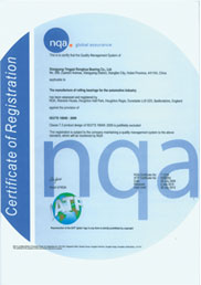 TS16949 2009 international quality system certification